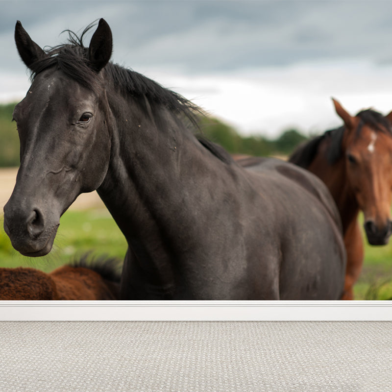 Horse Mural Wallpaper Dark Color Modern Style Wall Covering for Boys Room, Custom Size Dark Brown Clearhalo 'Wall Decor' 'Wall Mural' 1757572
