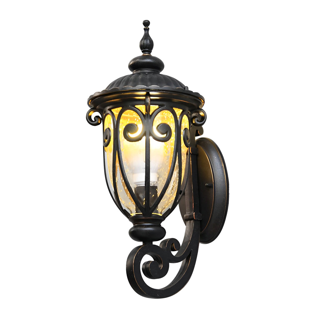 1-Light Waterproof Antique Black Seeded Glass Outdoor Wall Light by Taavita