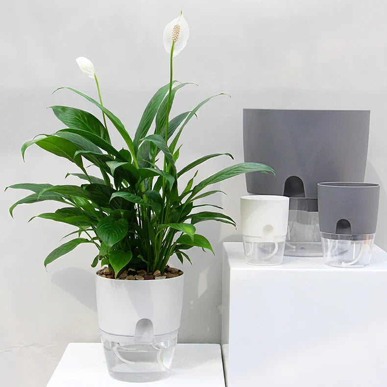 Planter with Automatic Watering System