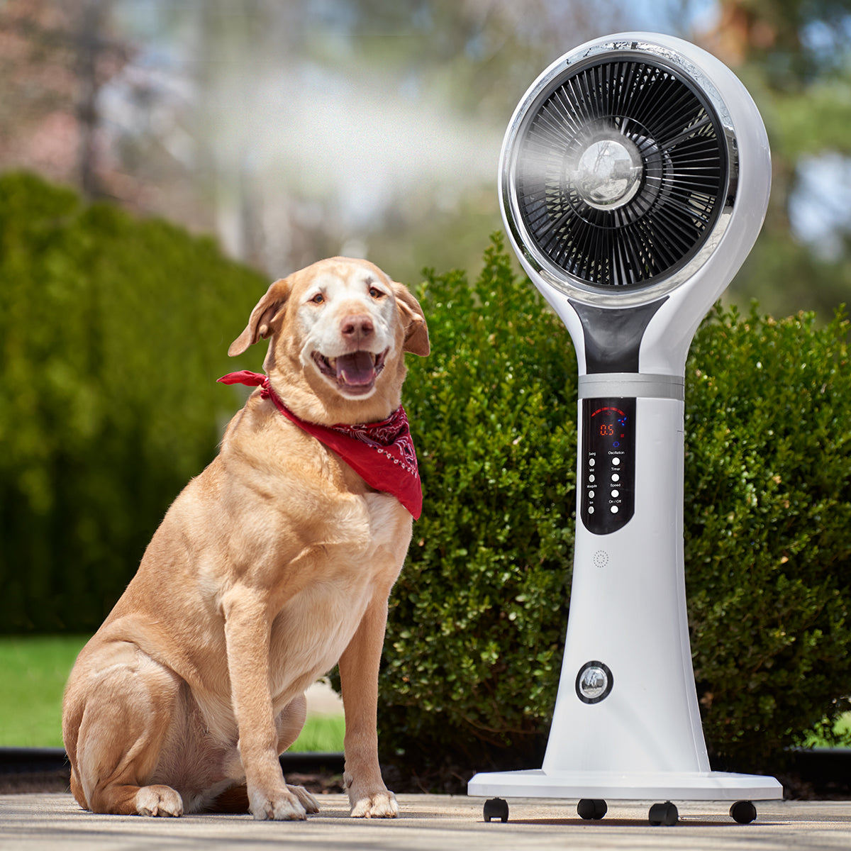 Compact Air Cooler with Mist and Remote Control Functionality
