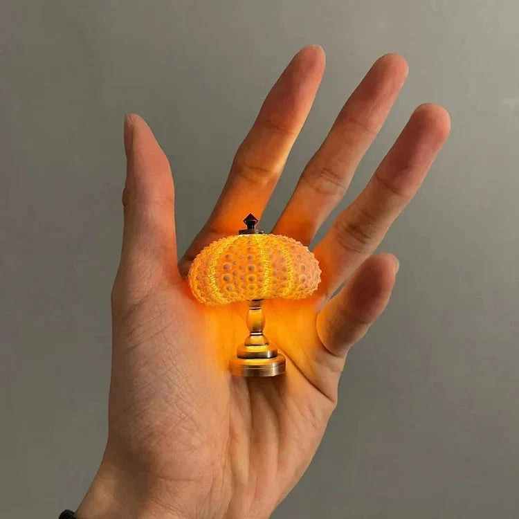 DIY Night Light | Sea Urchin Design | Natural Shell & Gold-Plated Base | Ambient Lighting