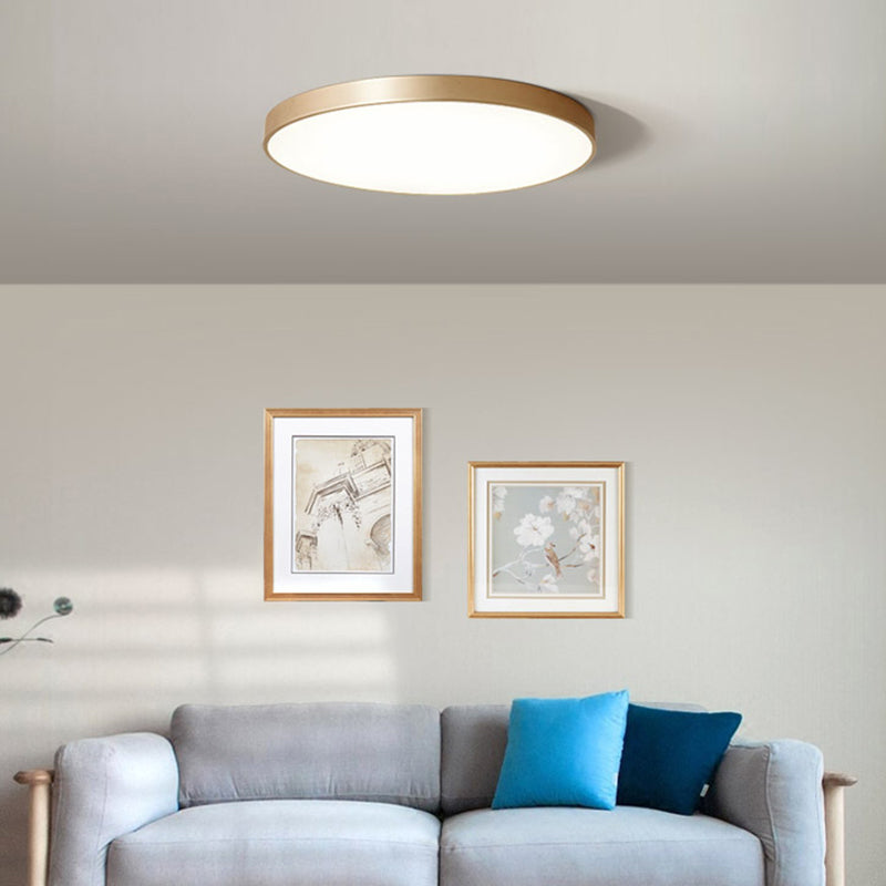 Taavita Metallic Circle Flush Mount Ceiling Light Modern LED - Flush Mount for Bedroom with 8" 12" 16" 20" Size Options