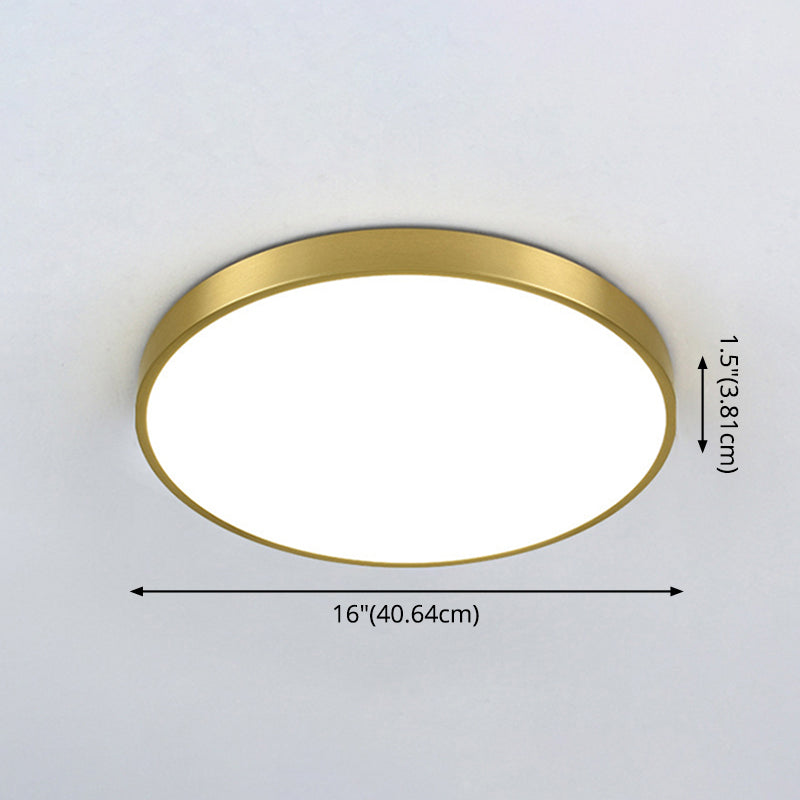 Taavita Metallic Circle Flush Mount Ceiling Light Modern LED - Flush Mount for Bedroom with 8" 12" 16" 20" Size Options