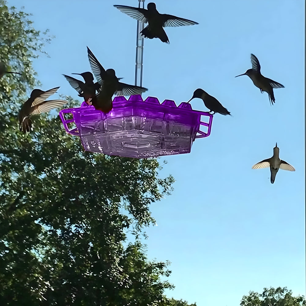 Delightful Nectar Feeder for Your Outdoor Retreat