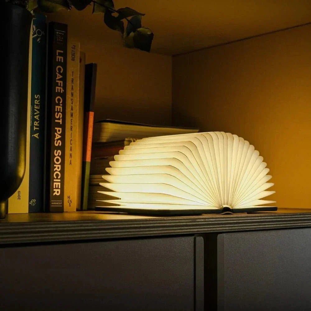 Versatile Glow Lamp | 360° Adjustable Rechargeable Light