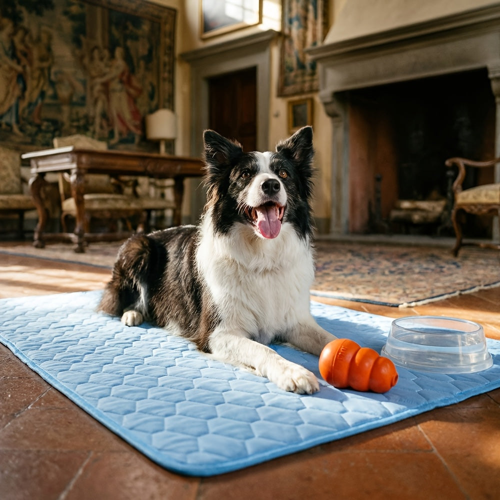 [2026 Ice-Cool Upgrade] Summer Pet Cooling Mat Cat Dog Bed | Highly Recommended by Pet Experts | Breathable Mesh Bed | Keeps Your Cat or Dog Cool and Comfortable All Summer Long, Suitable for Small, Medium, and Large Pets