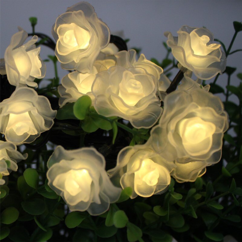 Warm White LED Rose String Lights - Battery Operated Flower Fairy Lights, 5-20ft, 10-40 LED Heads, White Foam or Frosted Roses, Romantic Indoor Decor