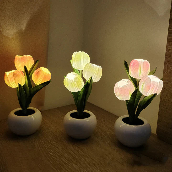 Ceramic Pot Table Lamp with LED – Cozy Accent Lighting