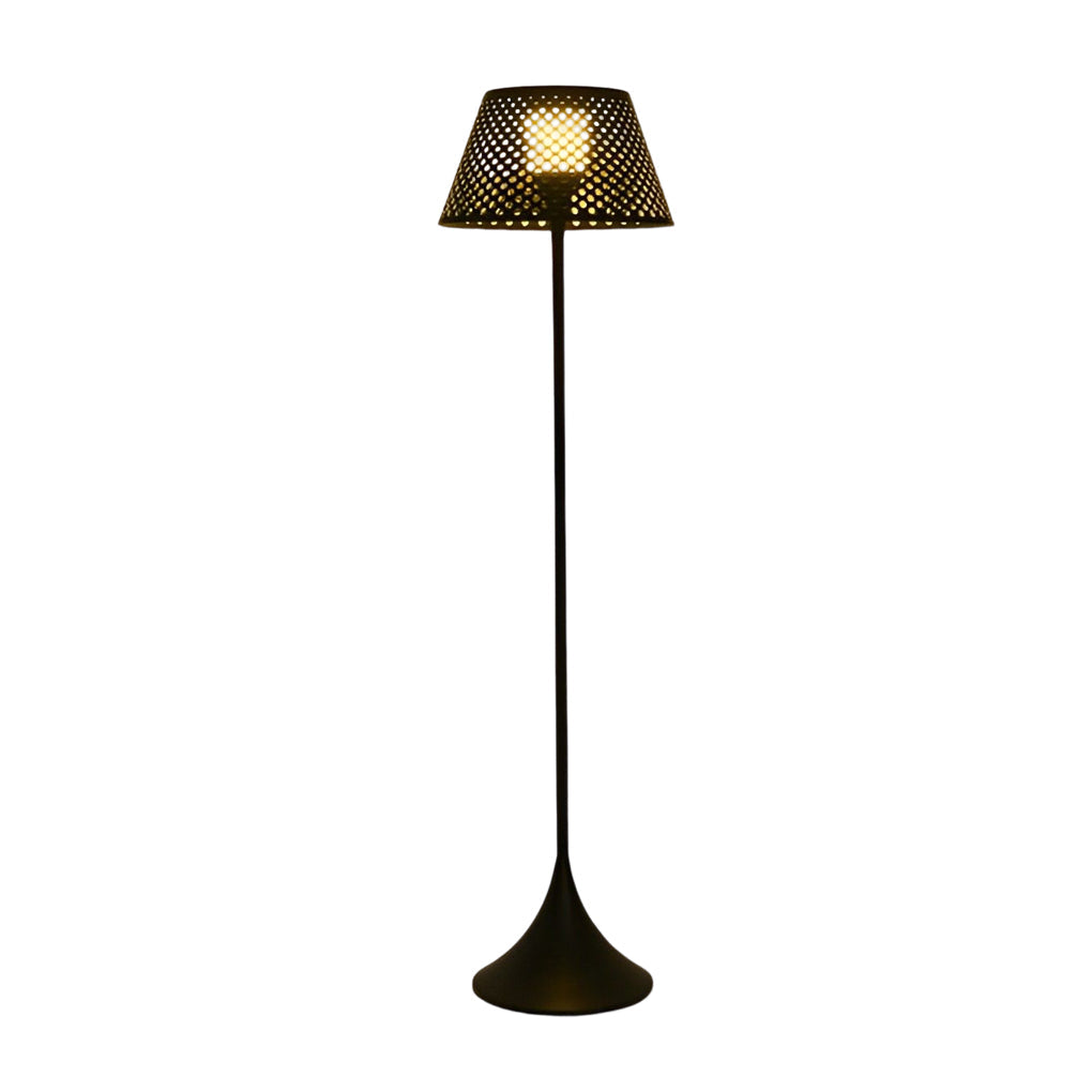 Taavita 1-light Modern Mesh Outdoor Floor Lamp