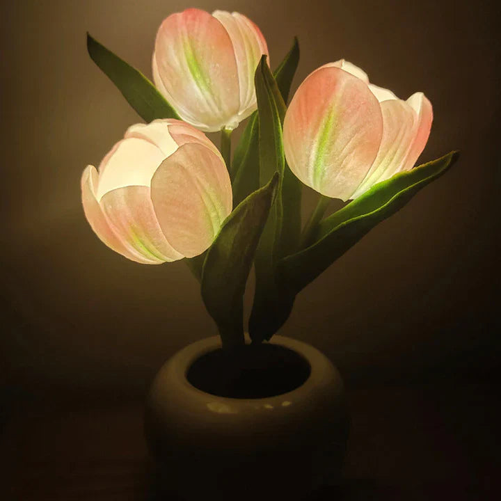 Ceramic Pot Table Lamp with LED – Cozy Accent Lighting