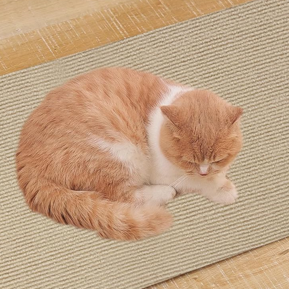 Cat Scratch Protector Mat for Couch and Carpet