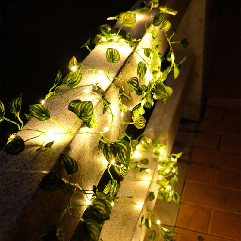 Battery Operated Garden Vine LED String Lights with Artificial Leaf Garland - Ivy, Watermelon, Green Dill, Two Color Ivy Vines - Warm White LED, Indoor/Outdoor, 2M-10M Lengths
