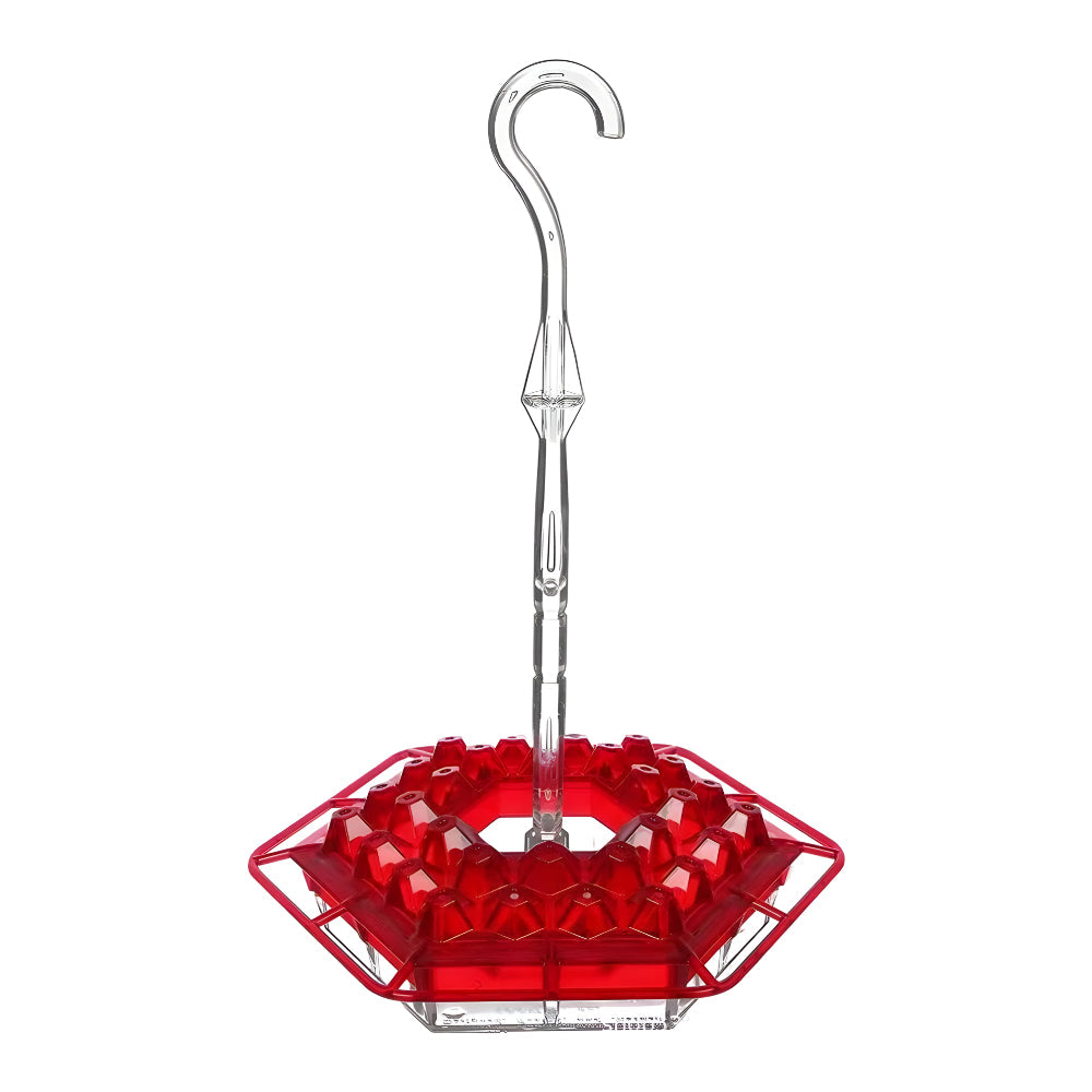 Delightful Nectar Feeder for Your Outdoor Retreat