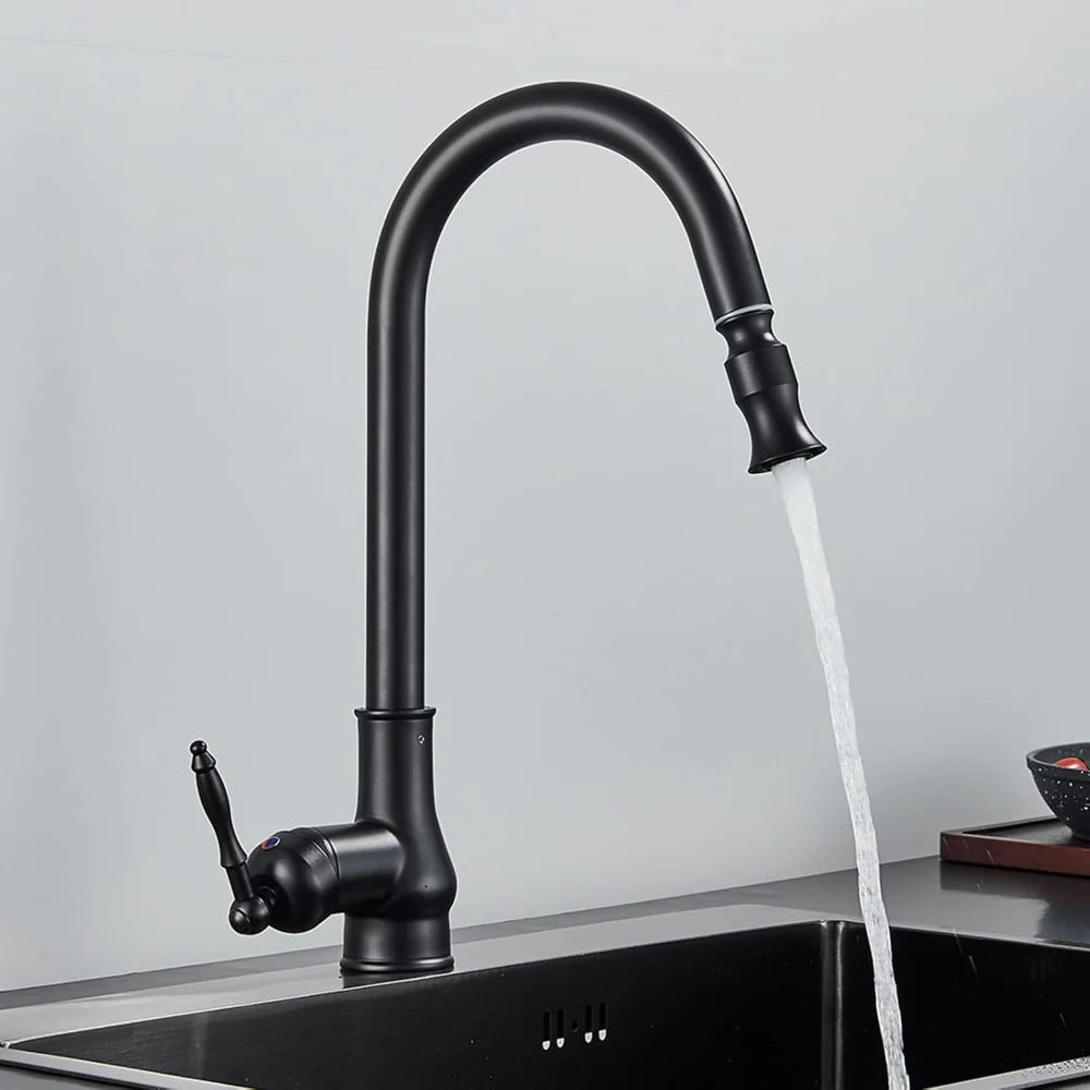 Elegant Brass Swivel Spout Kitchen Mixer Faucet