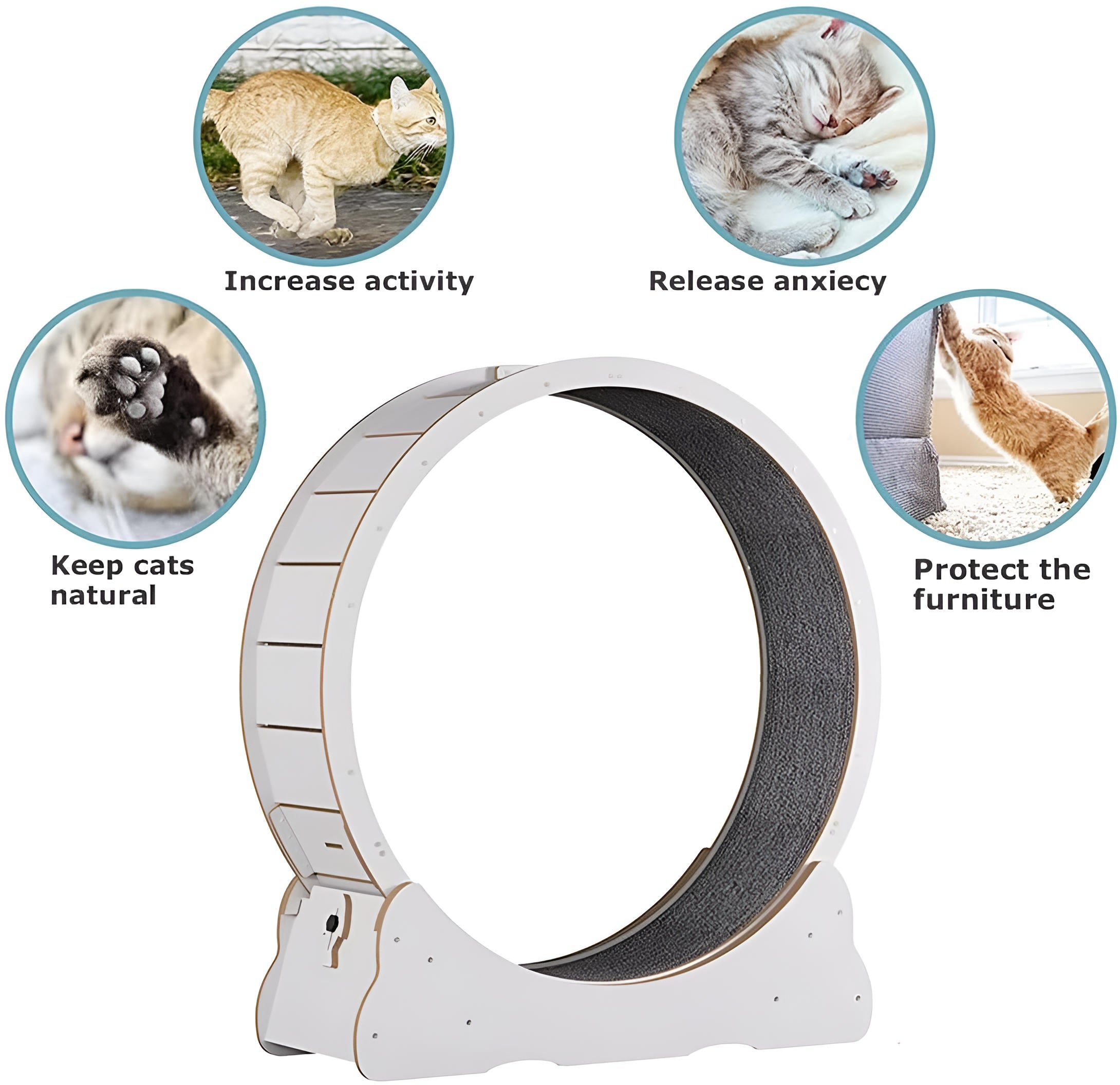Indoor Cat Fitness Wheel for Active Play