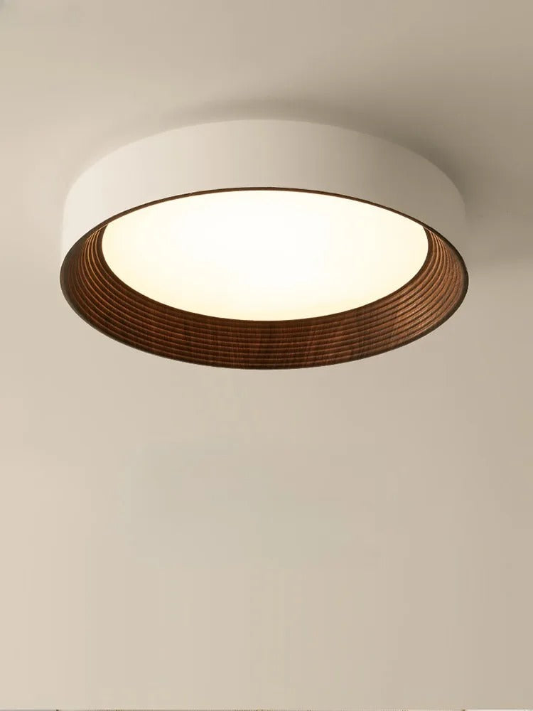 Illuminate Your Space with the Modern Aura Ceiling Fixture