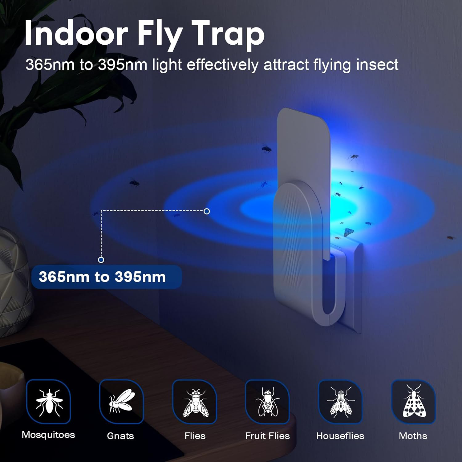 Indoor Insect Catcher