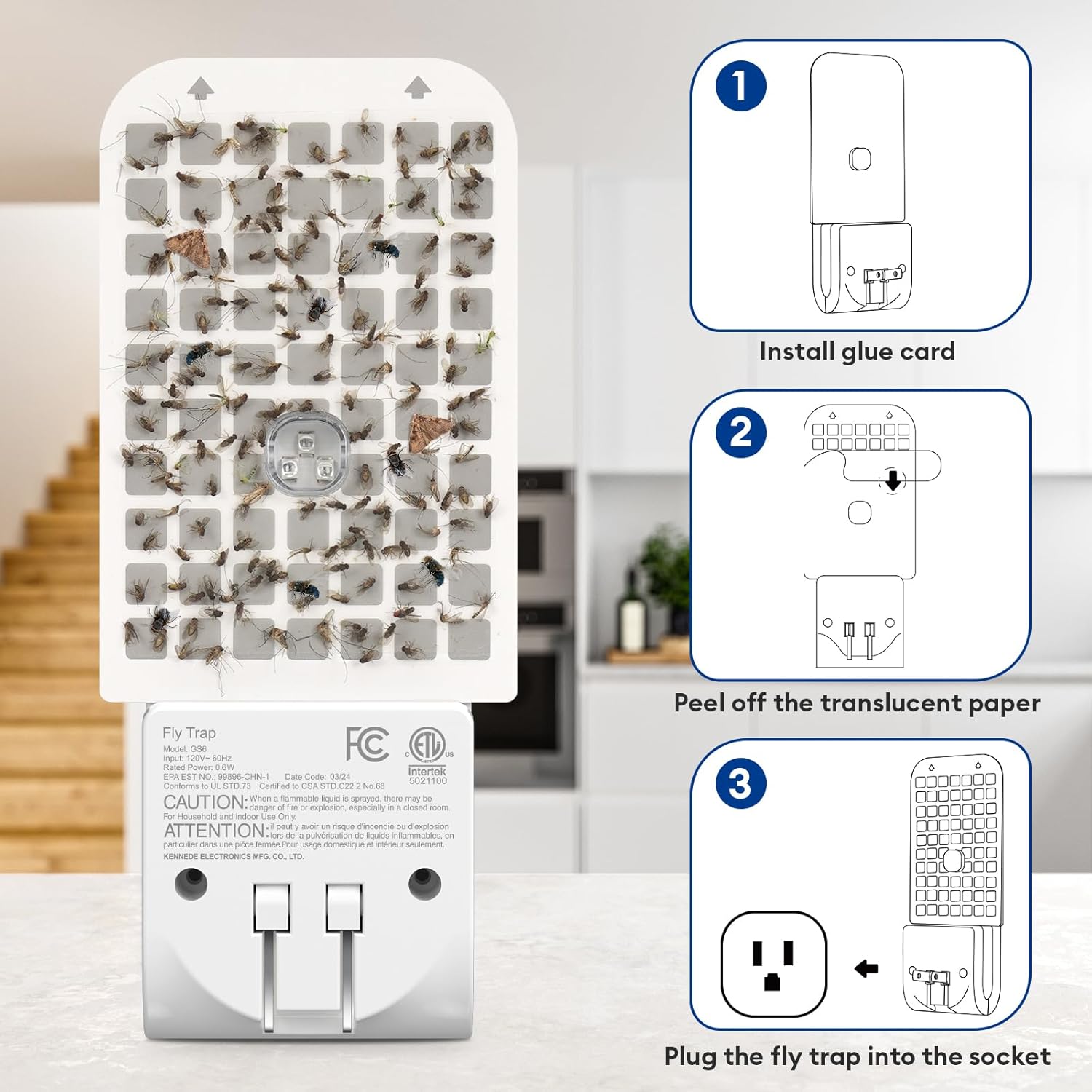 Indoor Insect Catcher