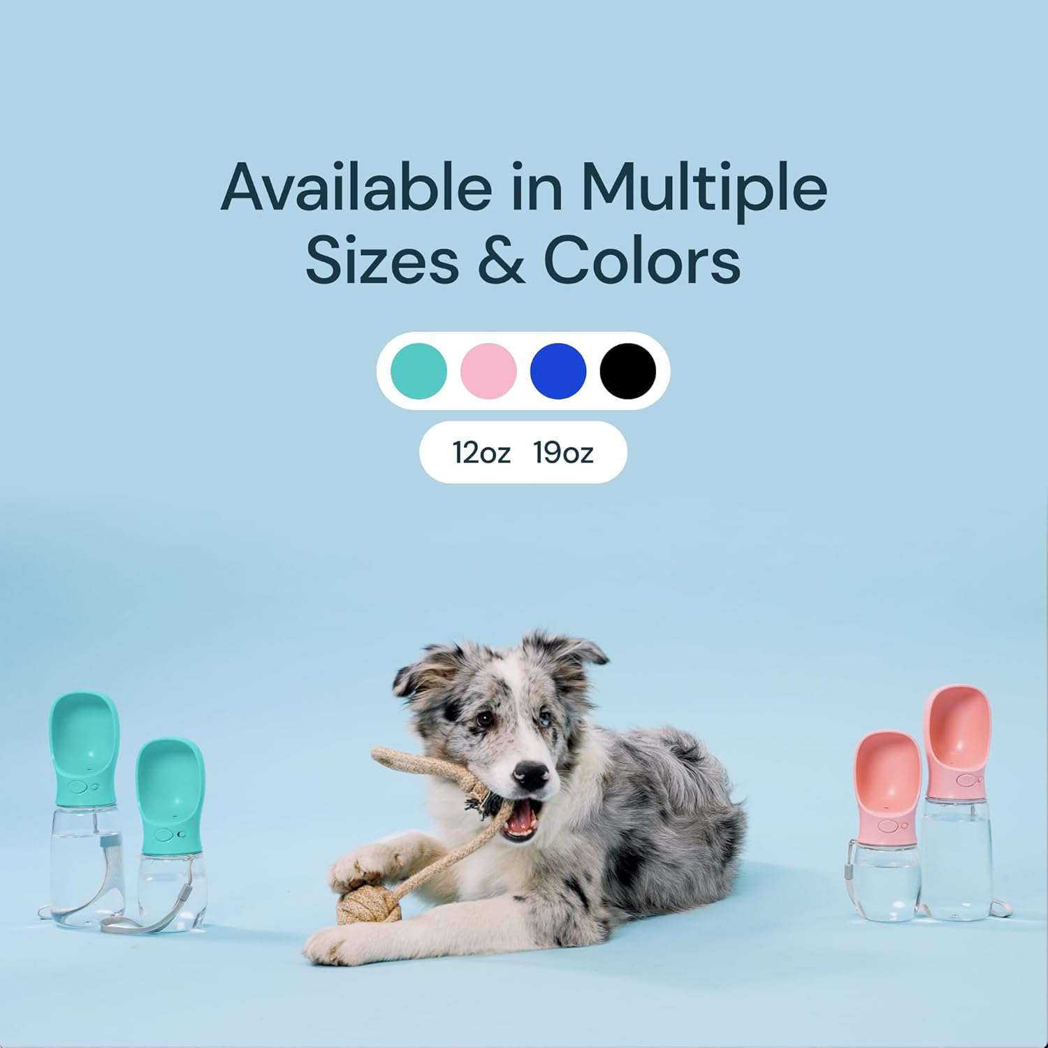 On-the-Go 19 oz Pet Hydration Bottle