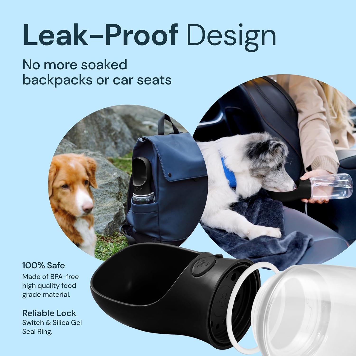 On-the-Go 19 oz Pet Hydration Bottle