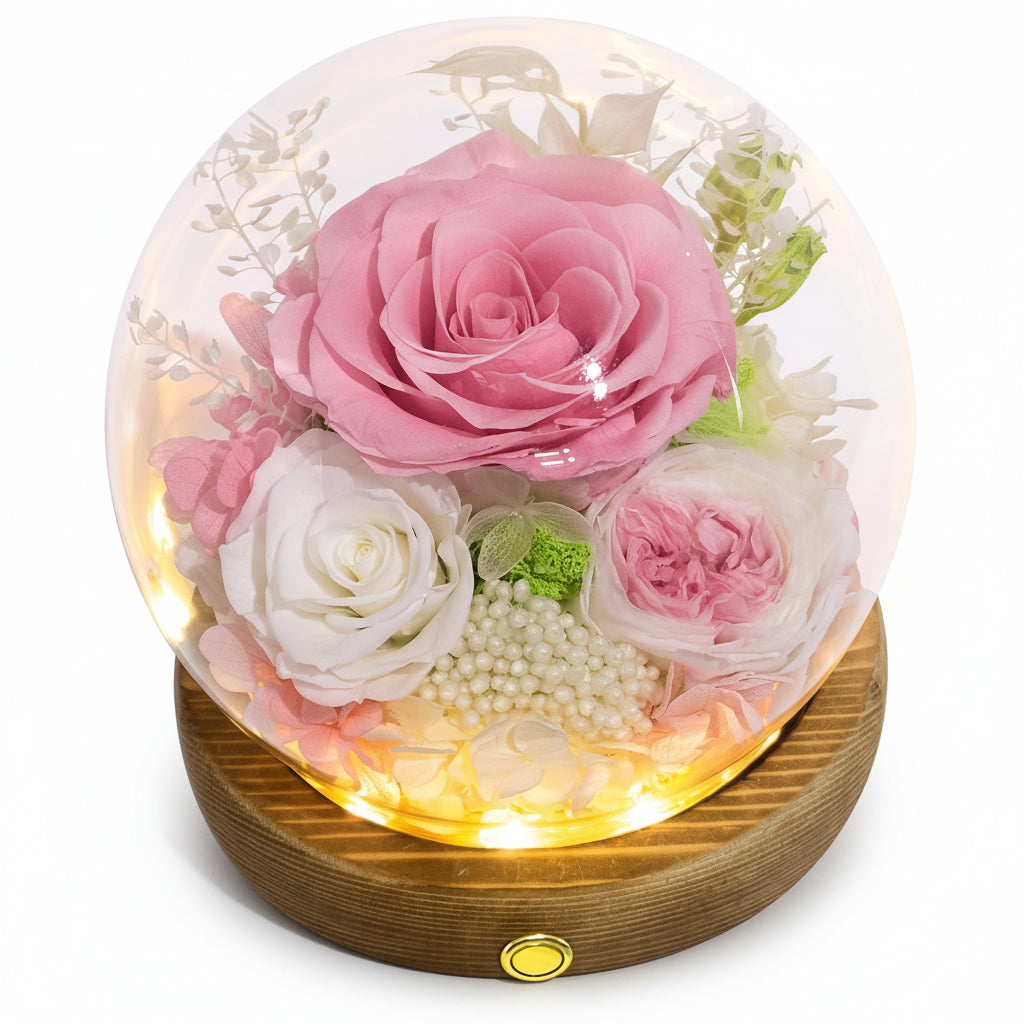 Illuminated Rose Keepsake Dome for Heartfelt Gifting