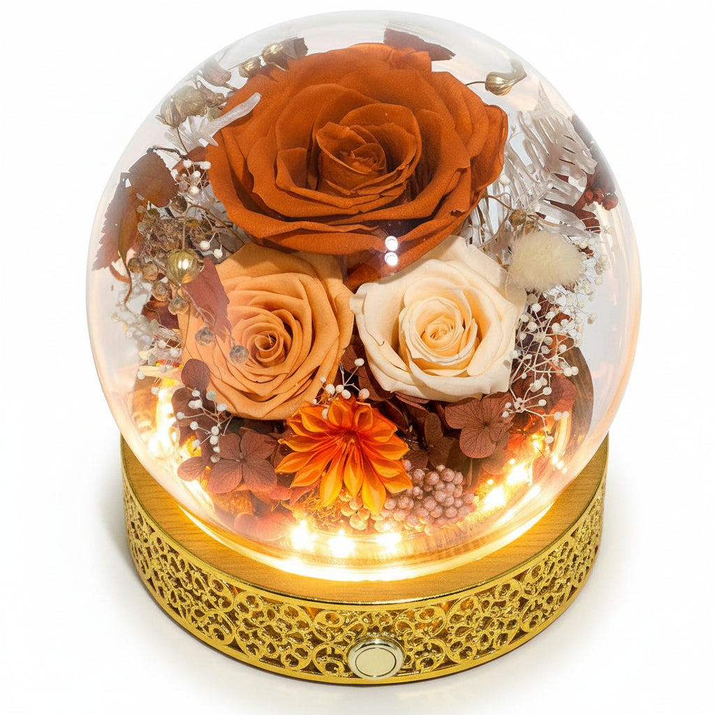 Illuminated Rose Keepsake Dome for Heartfelt Gifting