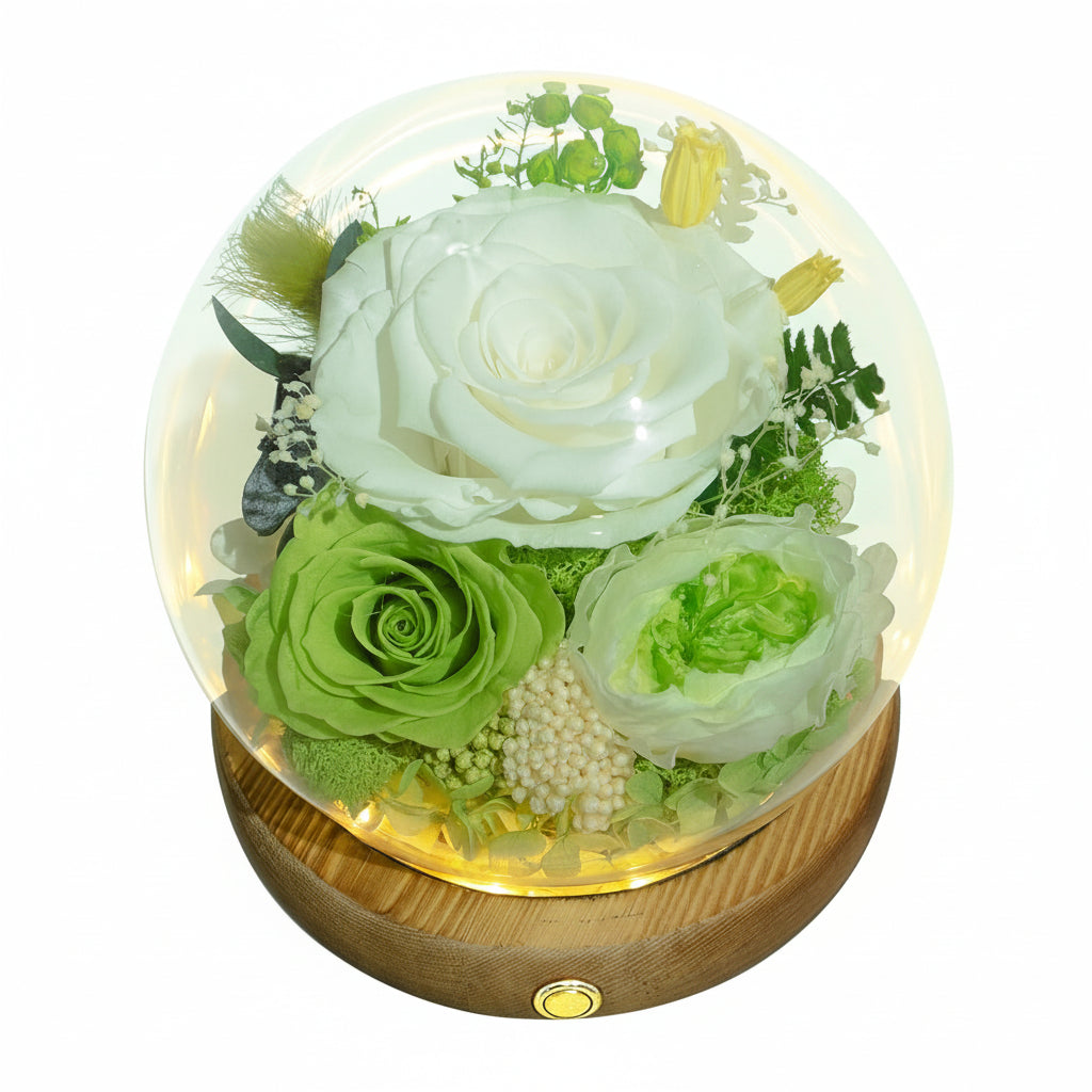 Illuminated Rose Keepsake Dome for Heartfelt Gifting