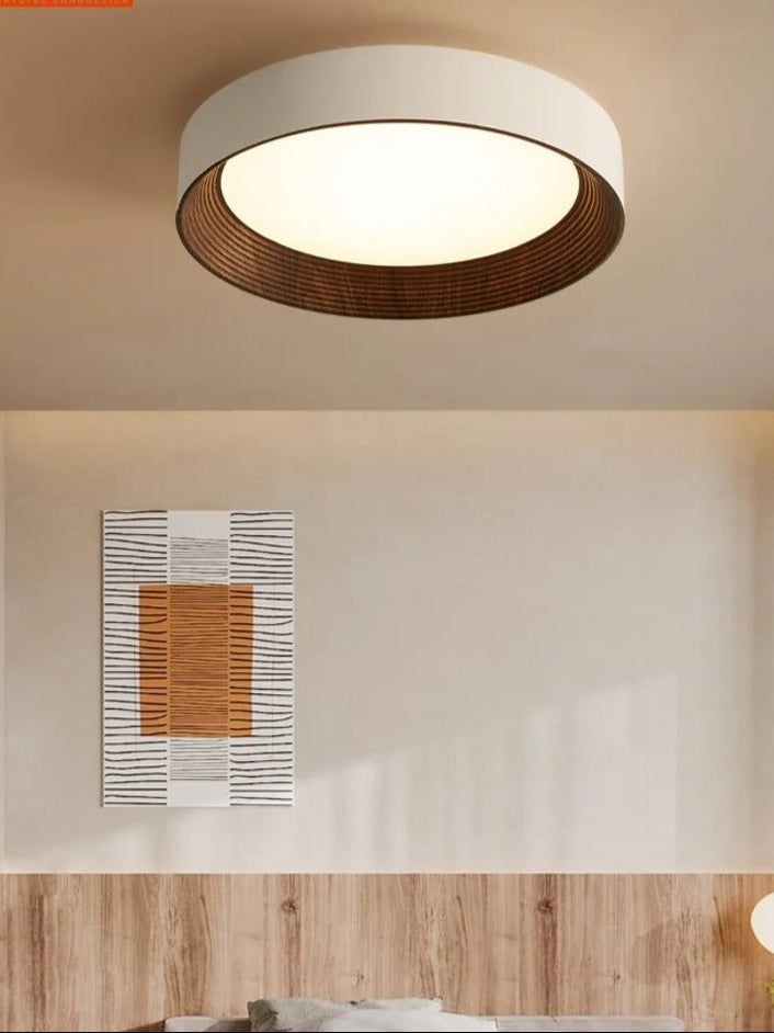 Illuminate Your Space with the Modern Aura Ceiling Fixture