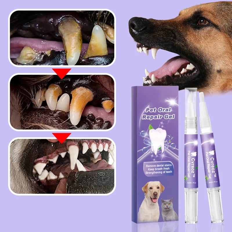 Natural Oral Care Gel for Cats and Dogs – Dental Hygiene Solution