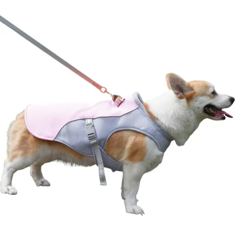 Summer Cooling Vest for Dogs – Breathable Gear for Outdoor Adventures