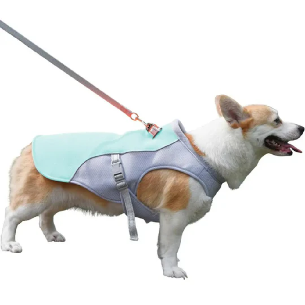 Summer Cooling Vest for Dogs – Breathable Gear for Outdoor Adventures