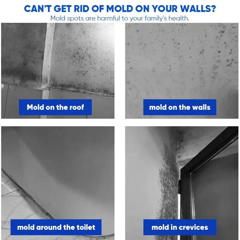 Ultimate Mold Defense Spray - Fast Acting and Long-Lasting Protection