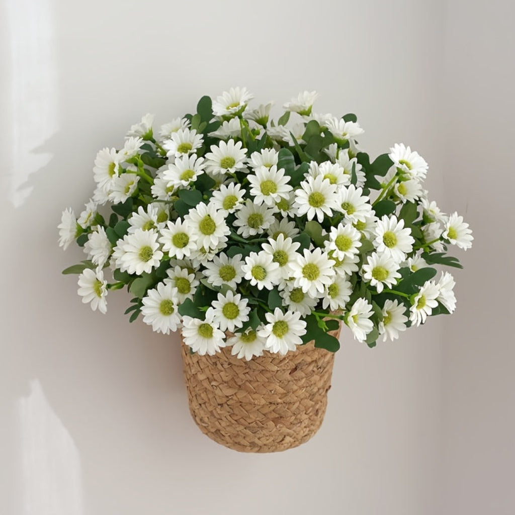 Cheerful Daisy Arrangement for Home Decor and Gifting