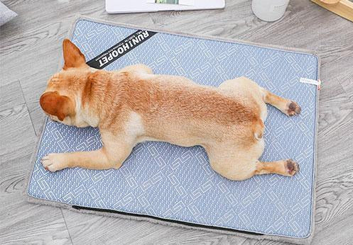 Dog Cooling Mat with Non-Slip Base | Portable Summer Comfort