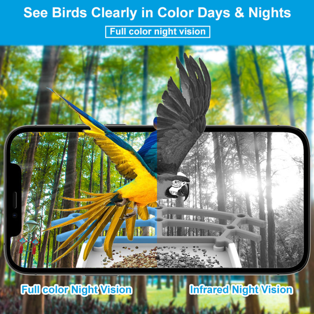 Smart Solar-Powered Birdwatching Camera for Your Garden