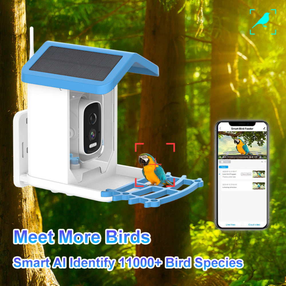 Smart Solar-Powered Birdwatching Camera for Your Garden