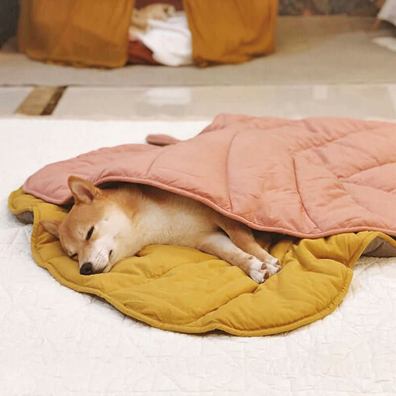 CozyLeaf Pet Blanket: Plush and Stylish Comfort for Dogs