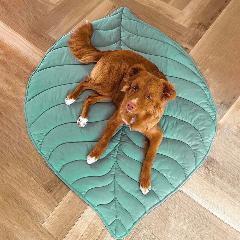 CozyLeaf Pet Blanket: Plush and Stylish Comfort for Dogs