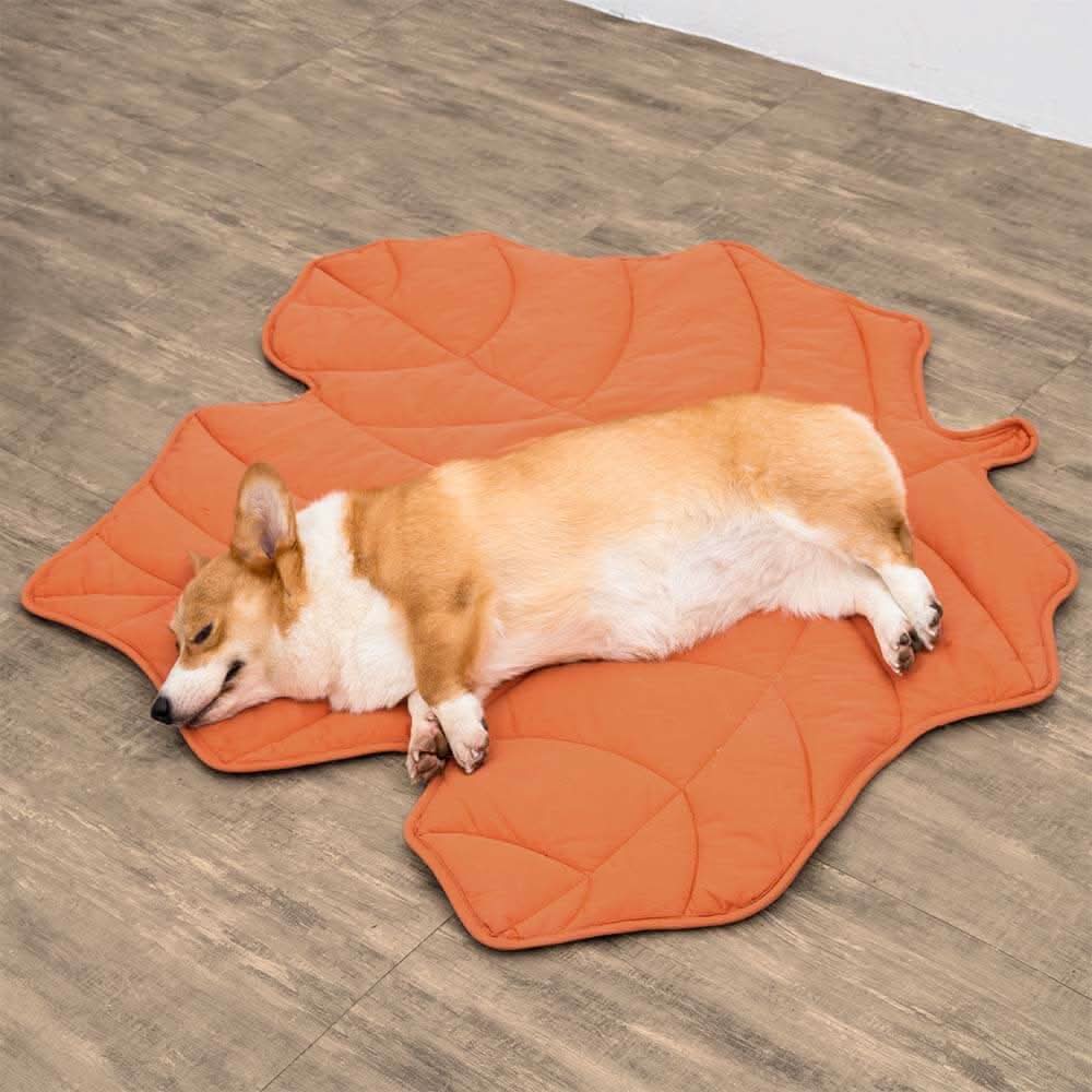 CozyLeaf Pet Blanket: Plush and Stylish Comfort for Dogs