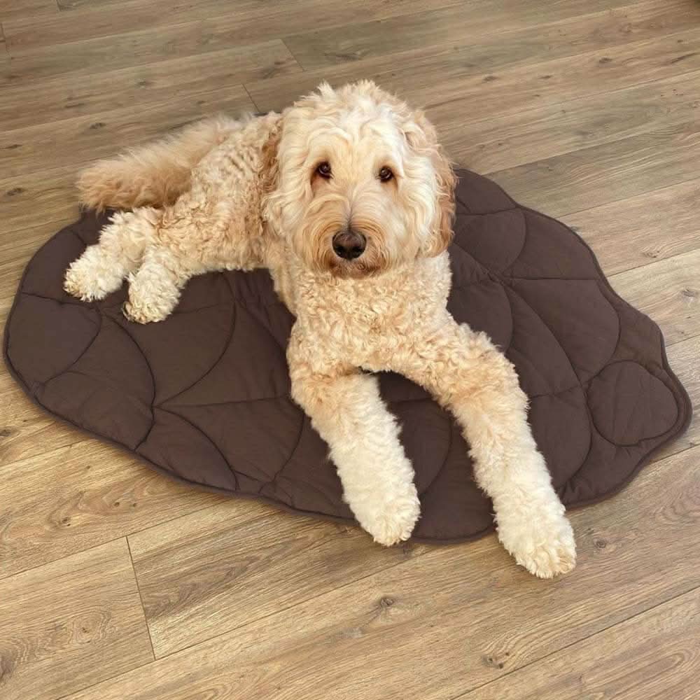 CozyLeaf Pet Blanket: Plush and Stylish Comfort for Dogs