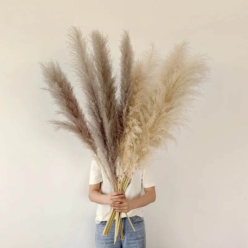 Natural Dried Pampas Grass for Elegant Home Decor
