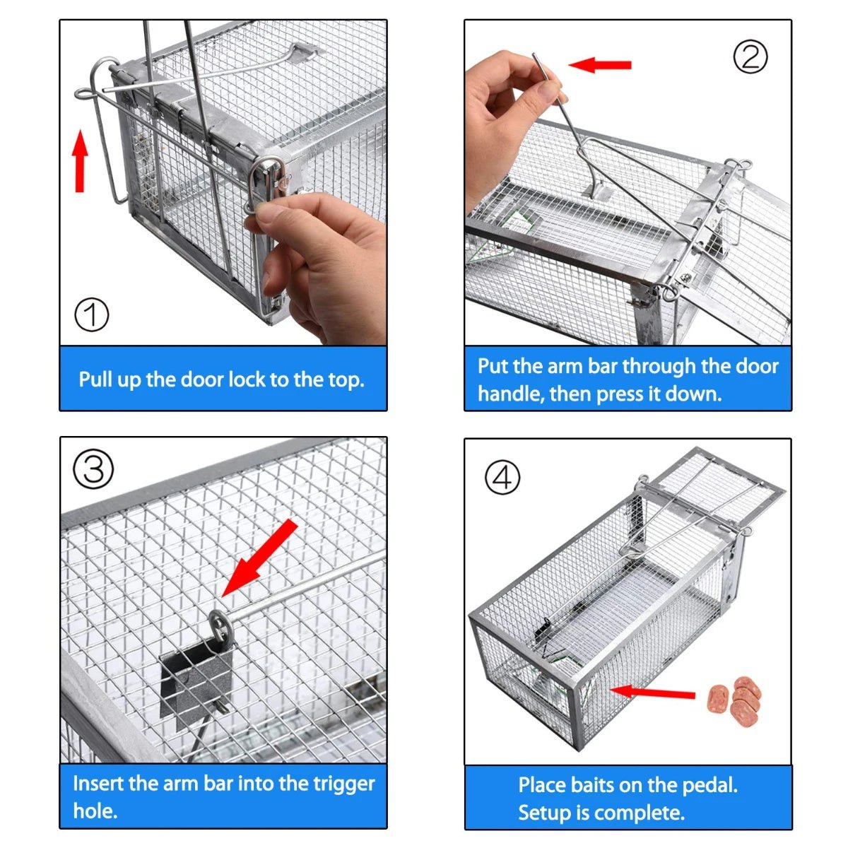 EcoCatch Live Rodent Trap for Safe Home and Garden Use