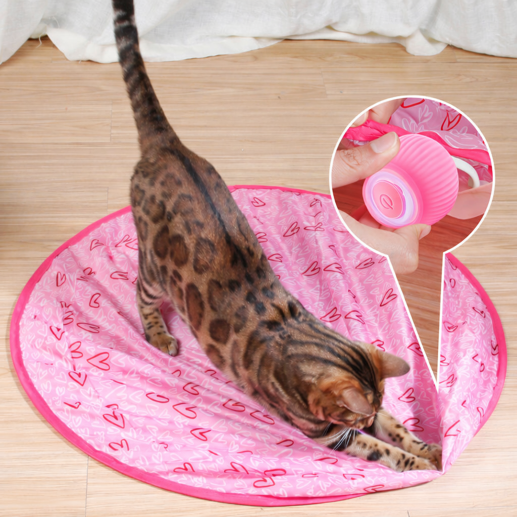 Engaging Indoor Cat Ball Toy for Active Playtime