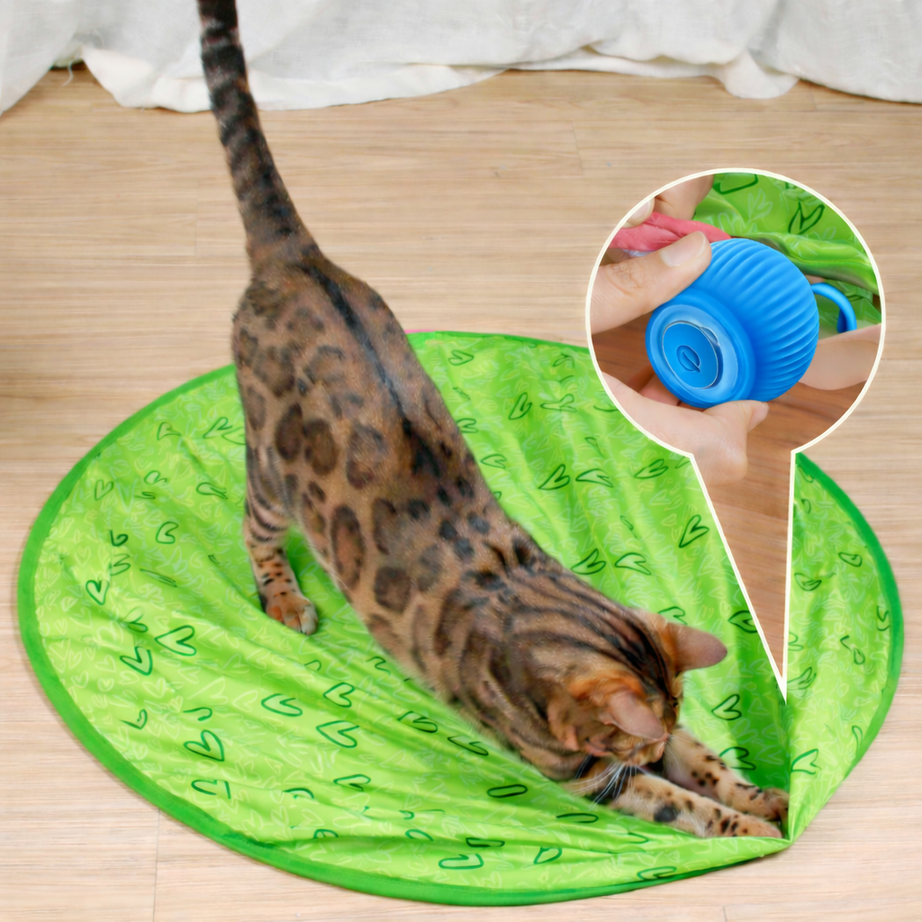Engaging Indoor Cat Ball Toy for Active Playtime