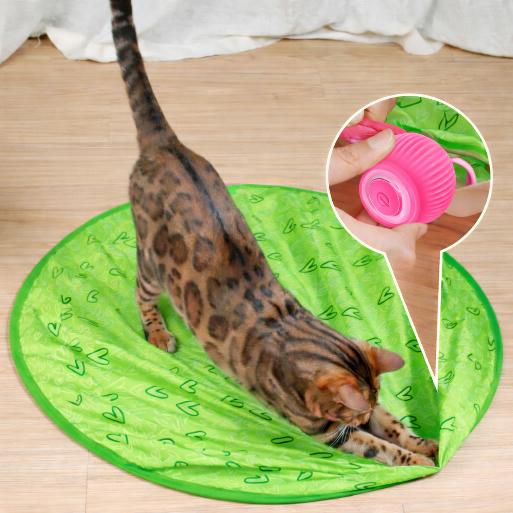 Engaging Indoor Cat Ball Toy for Active Playtime