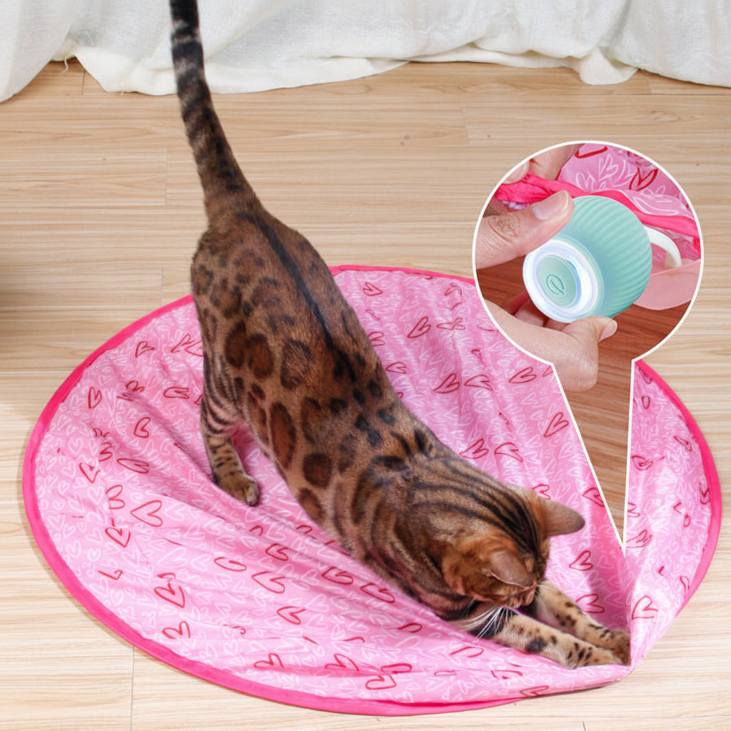 Engaging Indoor Cat Ball Toy for Active Playtime