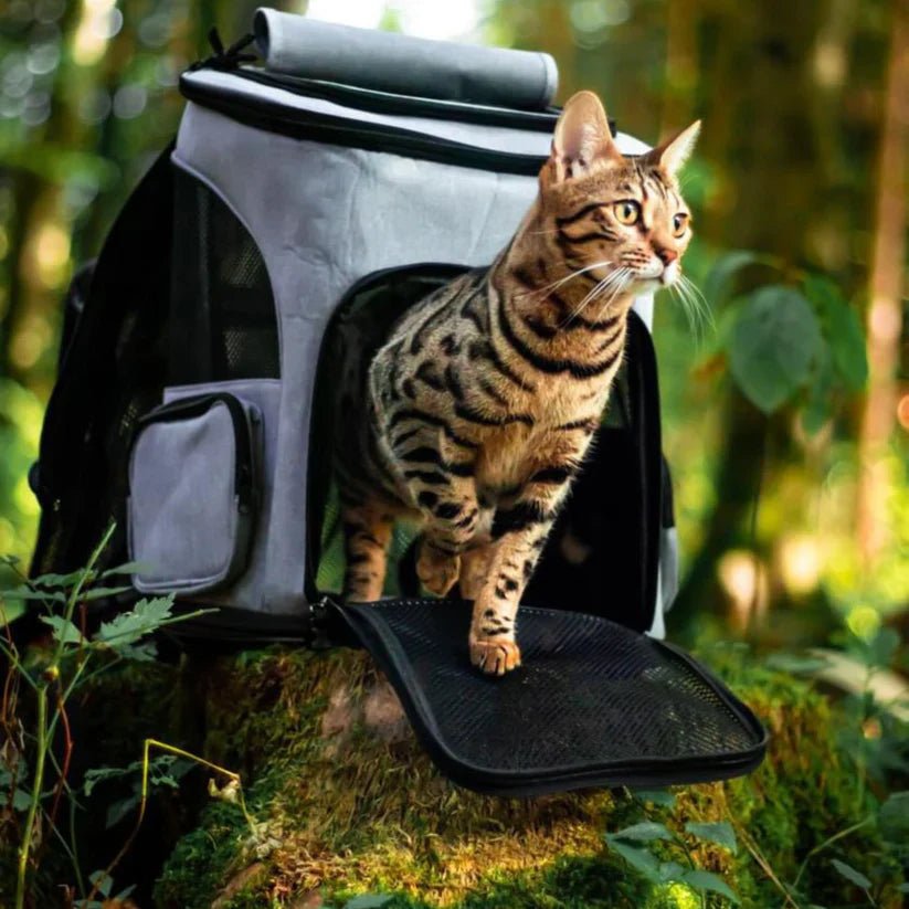 FelineVoyager Cozy Cat Carrier with Clear View Panel