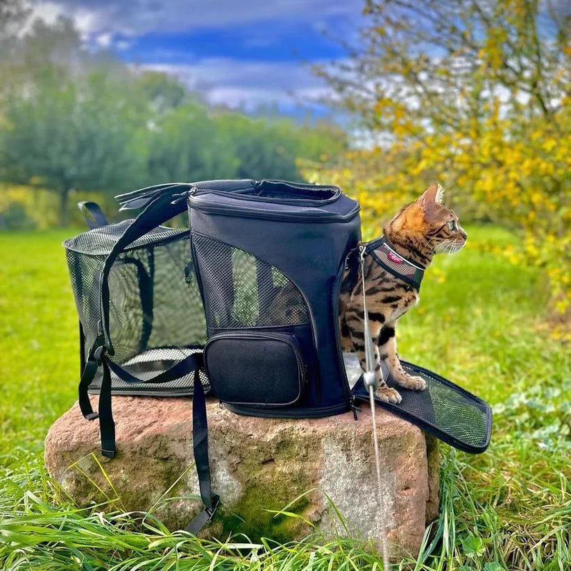 FelineVoyager Cozy Cat Carrier with Clear View Panel