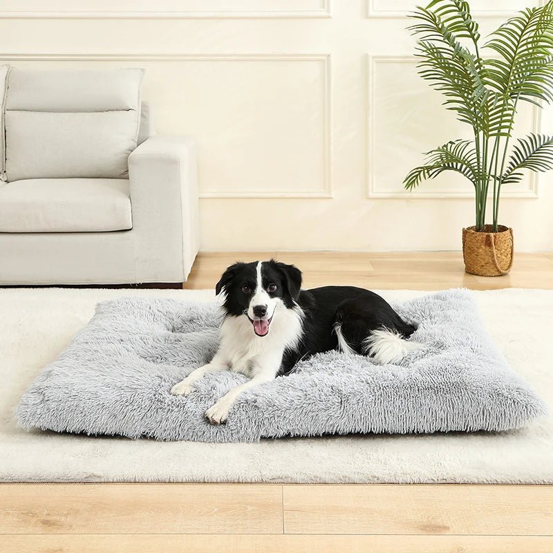 SnuggleNest Soft Cushion Bed for Ultimate Pet Relaxation
