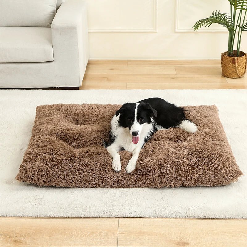 SnuggleNest Soft Cushion Bed for Ultimate Pet Relaxation
